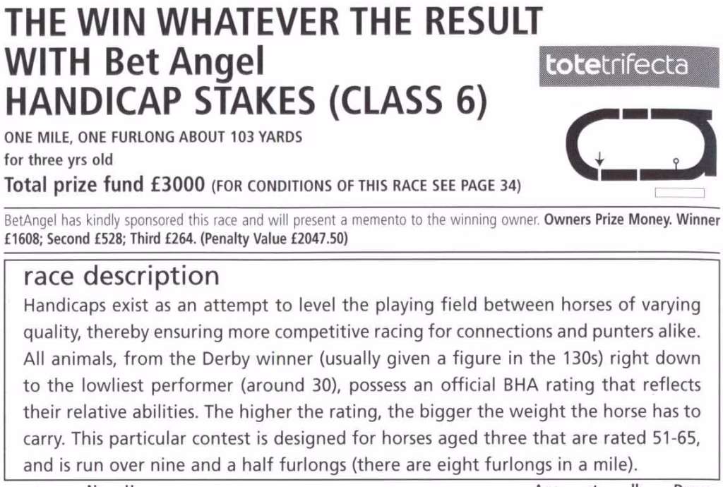 Bet Angel - Racecard