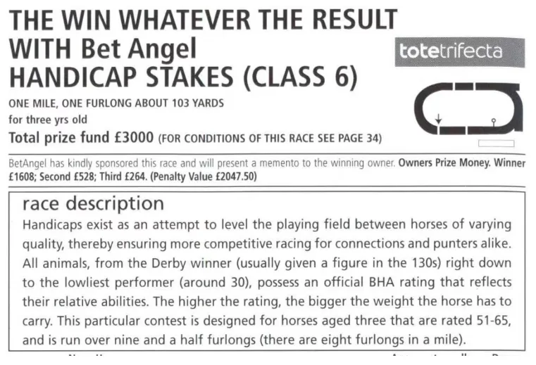 Bet Angel Racecard