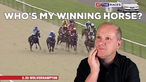 Choosing a horse on Betfair