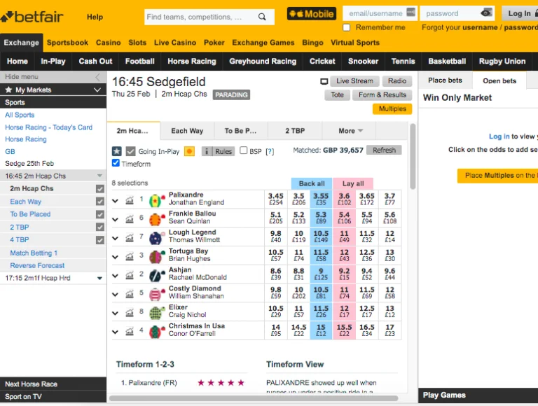 Winning on Betfair