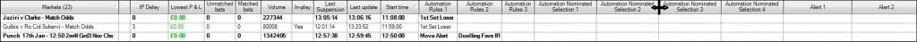 Betfair software