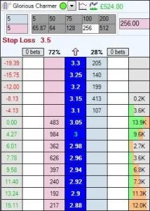 Betfair and Bet Angel